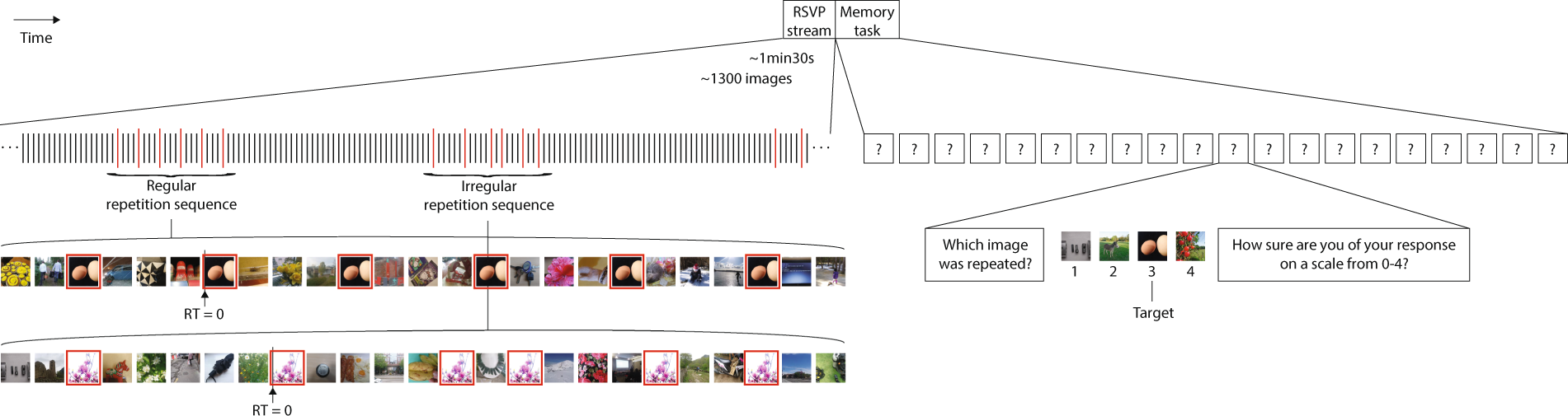 Regularity Is Not A Key Factor For Encoding Repetition In Rapid Image Streams Scientific Reports