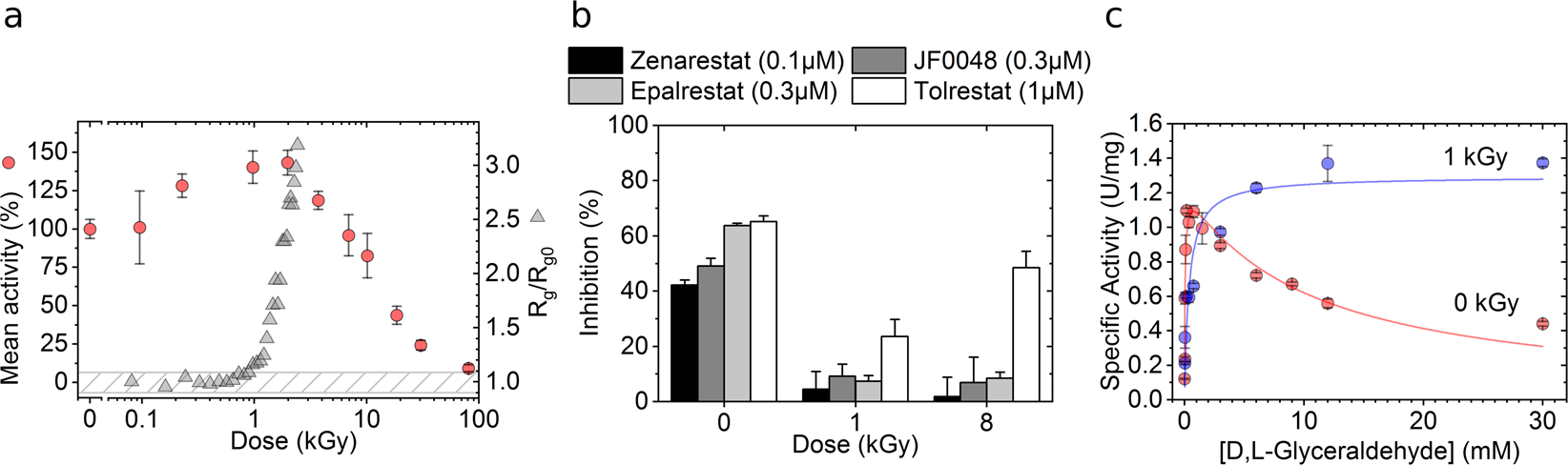 Efficacy Of Aldose Reductase Inhibitors Is Affected By Oxidative Stress Induced Under X Ray Irradiation Scientific Reports
