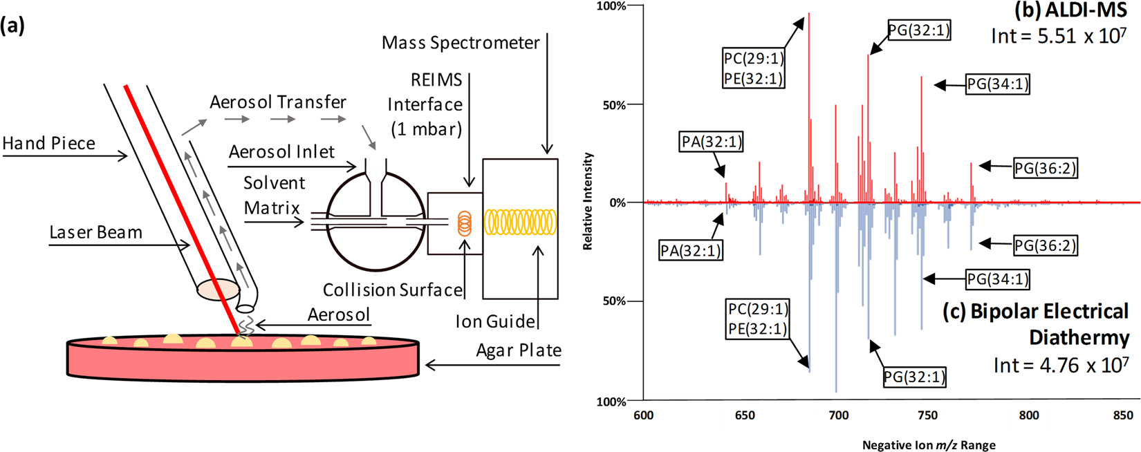 Utilisation of Ambient Laser Desorption Ionisation Mass Spectrometry  (ALDI-MS) Improves Lipid-Based Microbial Species Level Identification |  Scientific Reports