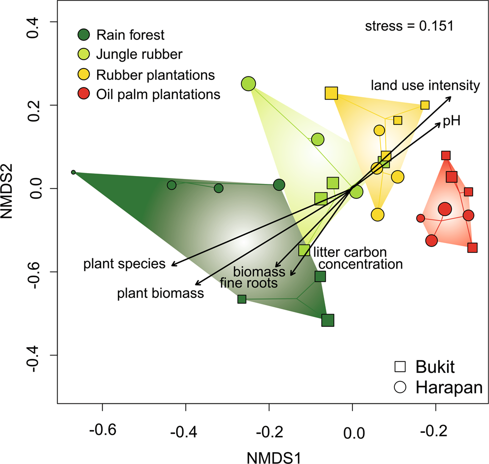 Intensive tropical land use massively shifts soil fungal communities |  Scientific Reports