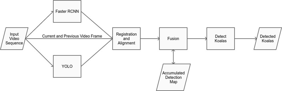 Automated detection of koalas using low-level aerial surveillance and machine learning | Scientific Reports Automated detection of koalas using low-level aerial surveillance and machine learning | Scientific Reports