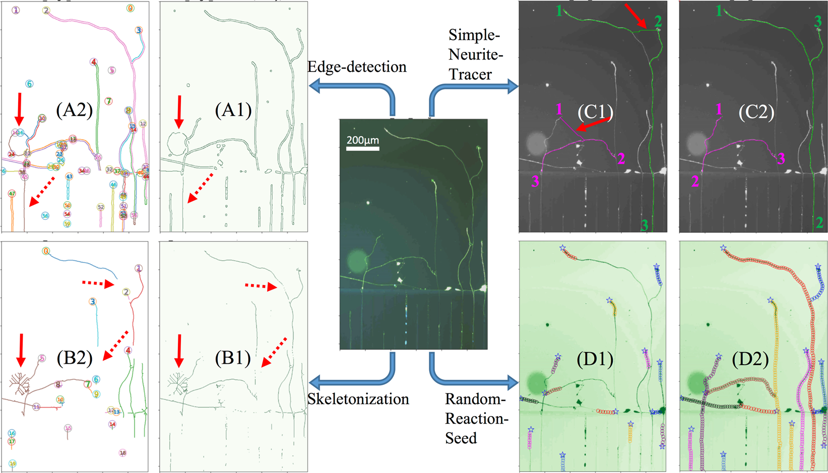 Random Reaction Seed Method For Automated Identification Of