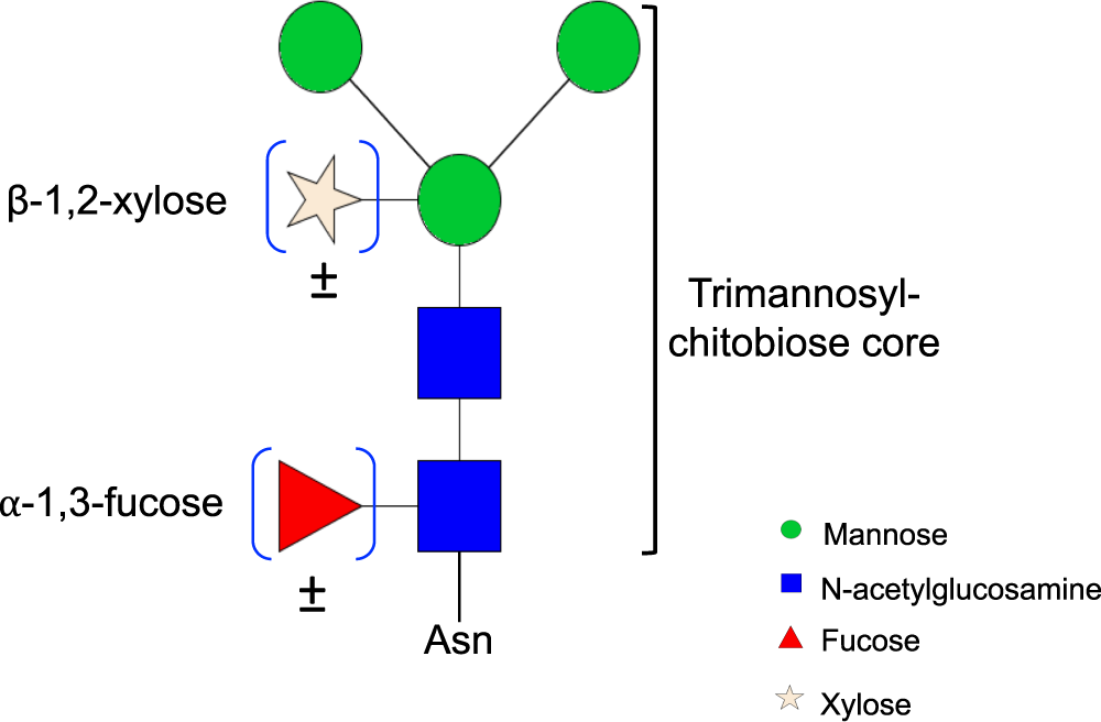 Microarray assessment of N-glycan-specific IgE and IgG profiles