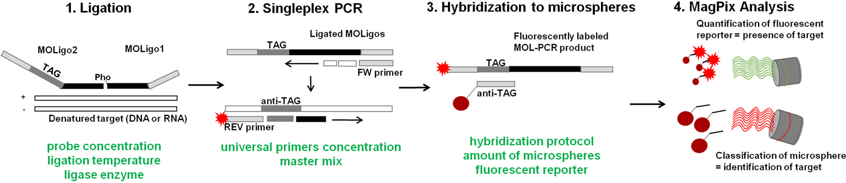 A Novel Perspective On Mol Pcr Optimization And Magpix - 