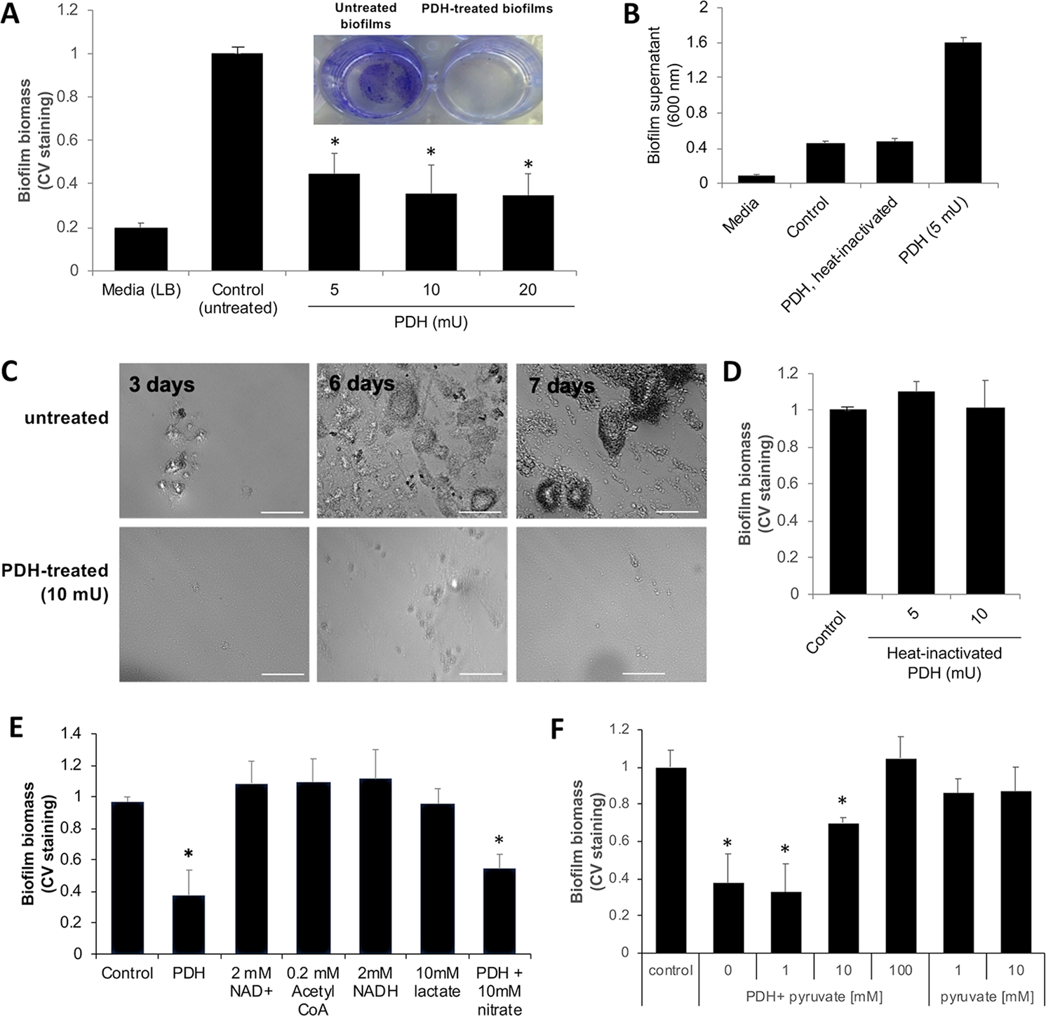 Pyruvate Depleting Conditions Induce Biofilm Dispersion And