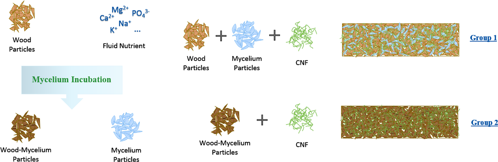 Synthesis and applications of fungal mycelium-based advanced