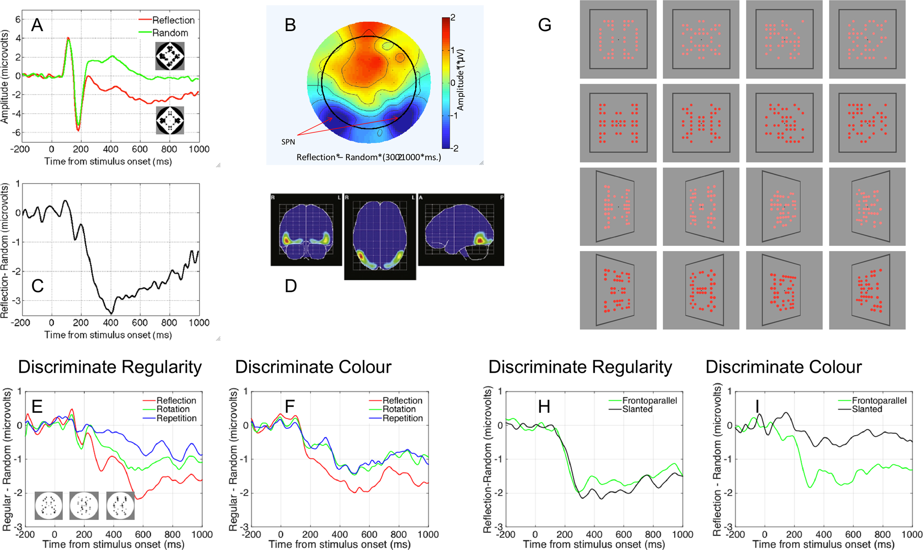 Sustained Response To Symmetry In Extrastriate Areas After Stimulus Offset An Eeg Study Scientific Reports