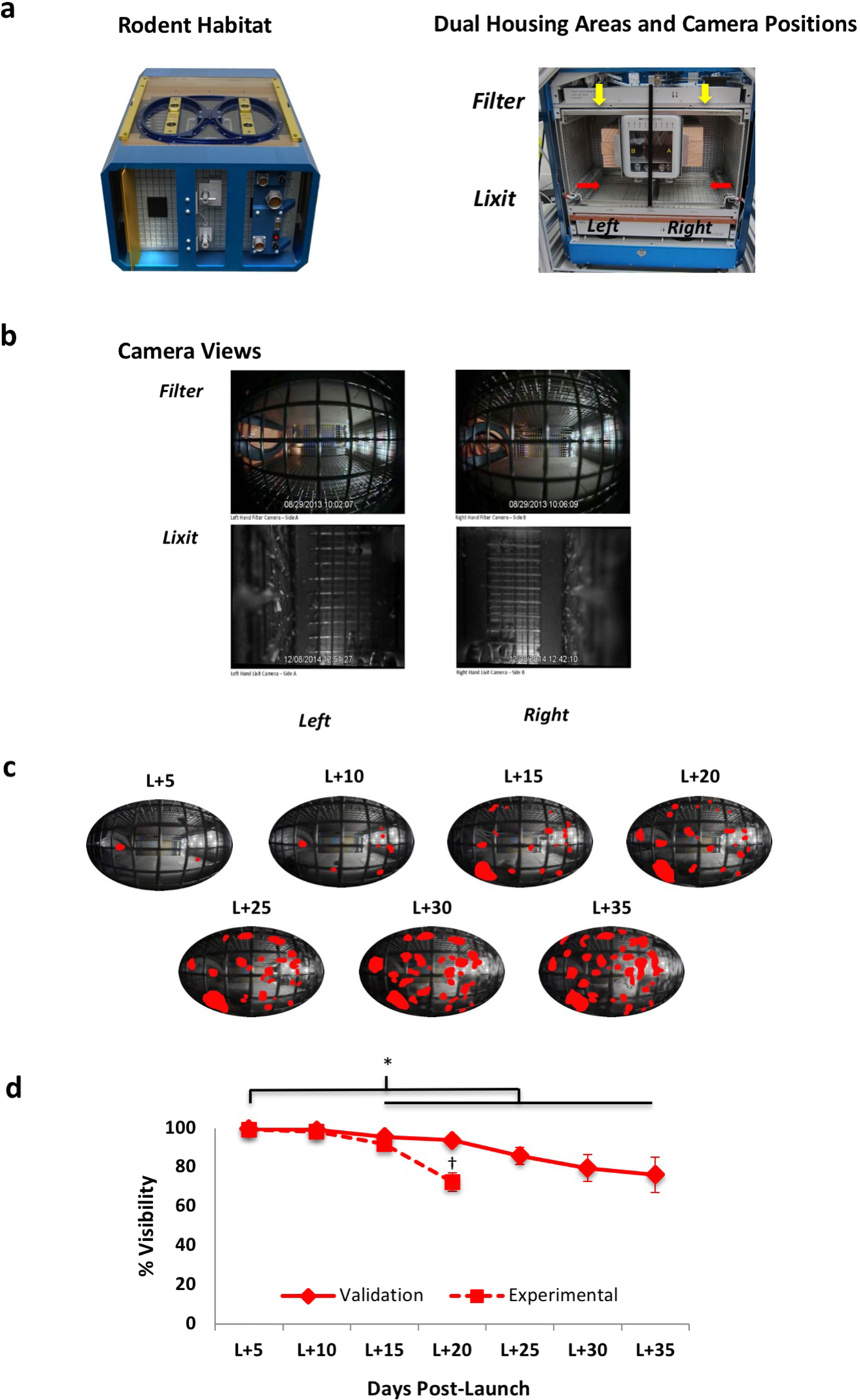 Behavior Of Mice Aboard The International Space Station