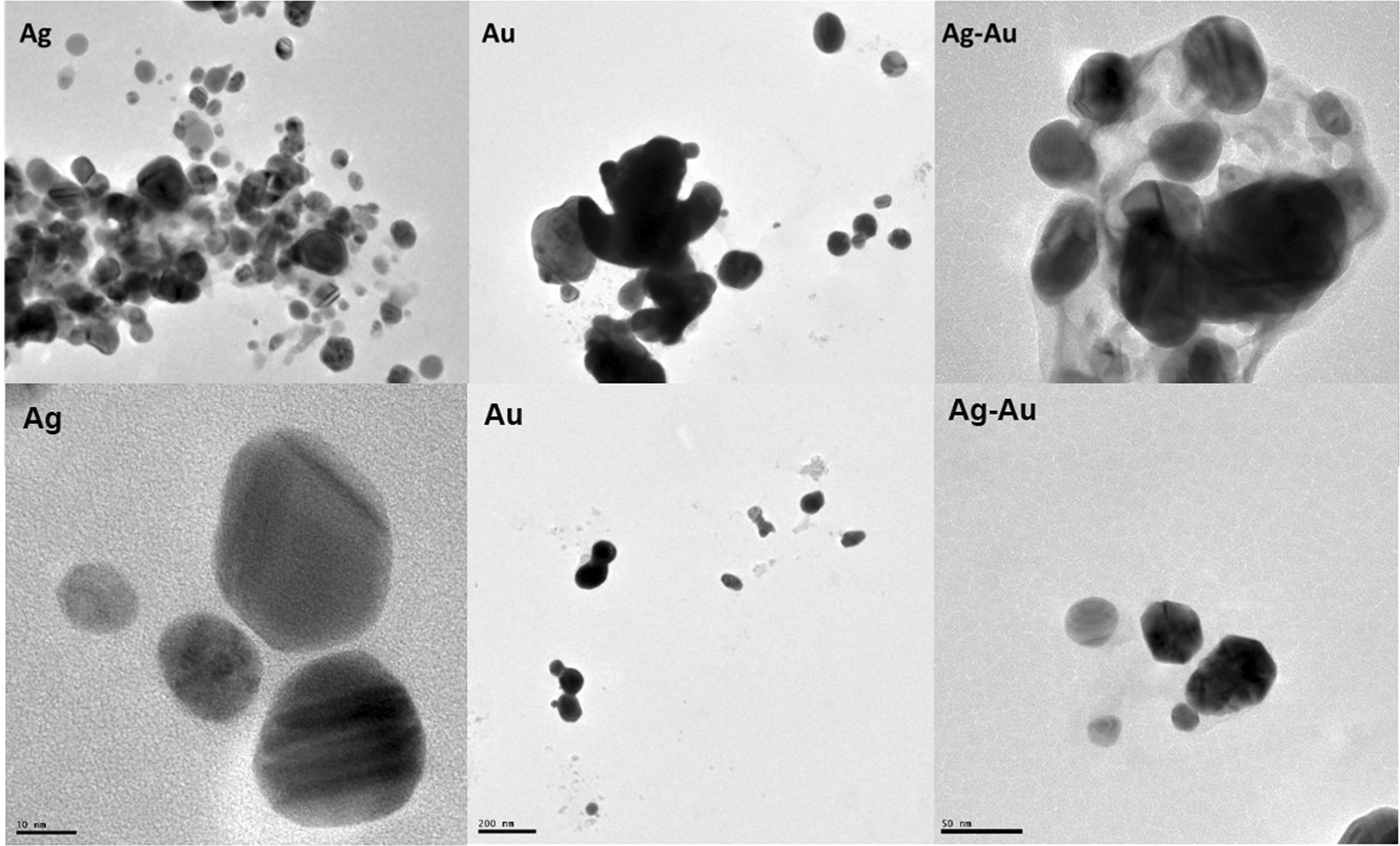 Cytotoxicity Of Ag Au And Ag Au Bimetallic Nanoparticles