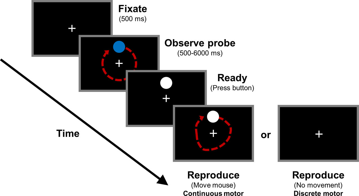 People who play video games tend to have superior sensorimotor