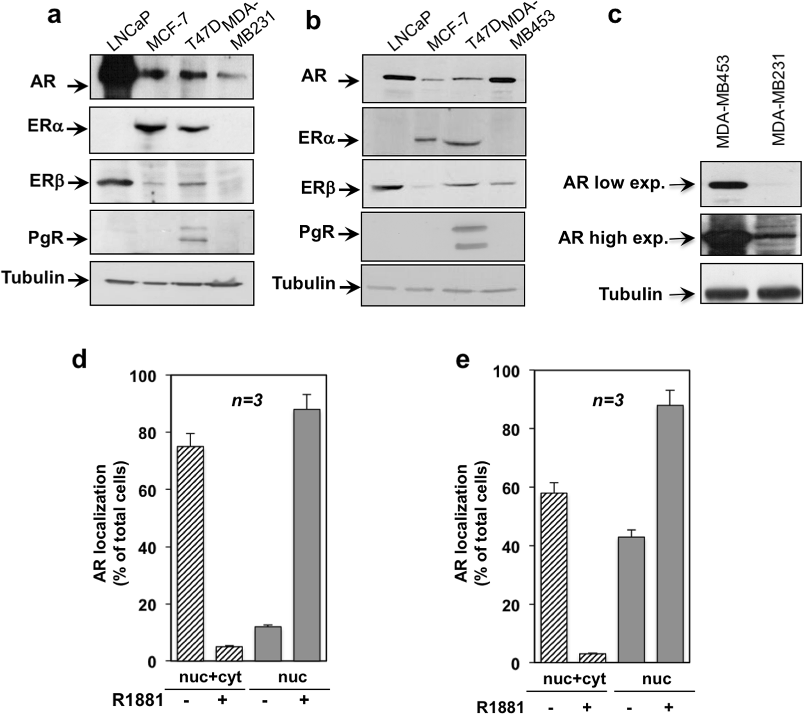 Androgens Induce Invasiveness Of Triple Negative Breast Cancer Cells Through Ar Src Pi3 K Complex Assembly Scientific Reports