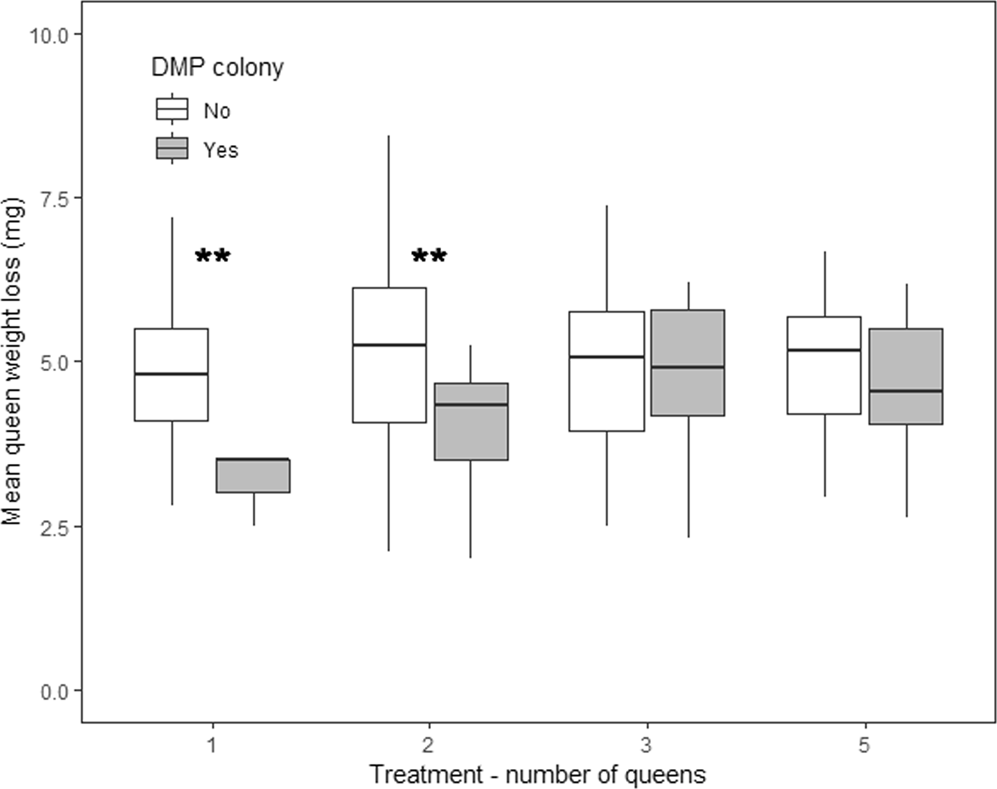 Strategies Of The Invasive Tropical Fire Ant Solenopsis Geminata