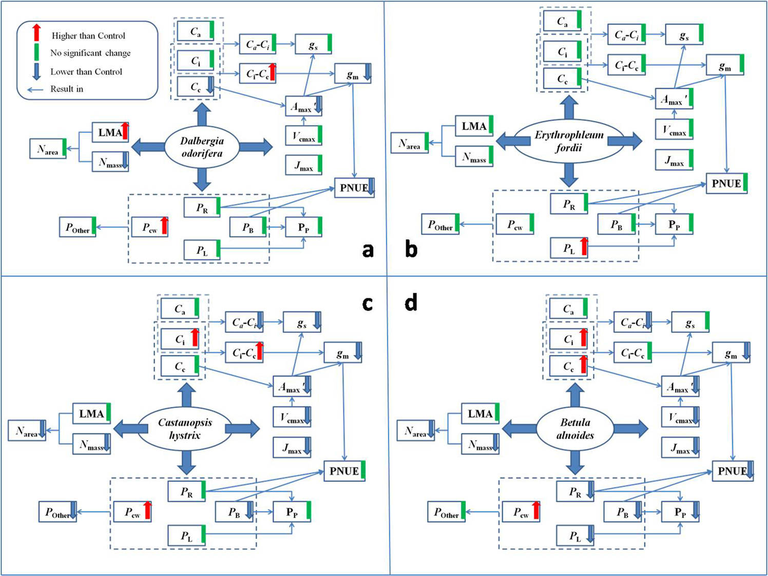 Figure 11