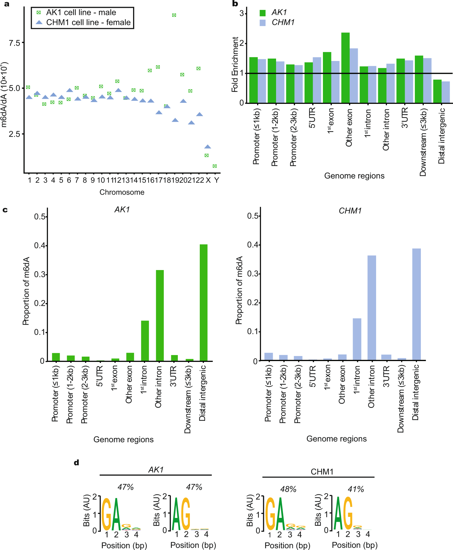 VariantAnnotation/R/methods-readVcf.R at devel ·  Bioconductor/VariantAnnotation · GitHub