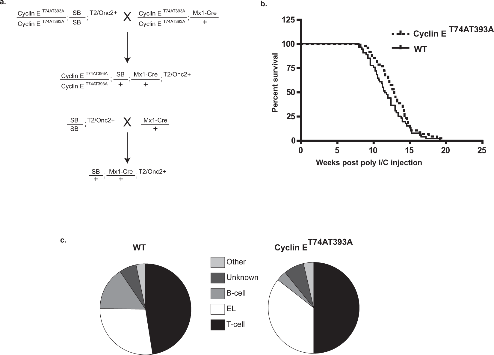 Insertional Mutagenesis Using The Sleeping Beauty Transposon System Identifies Drivers Of Erythroleukemia In Mice Scientific Reports