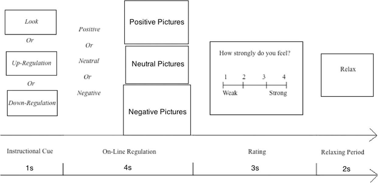 Age Related Differences In The Late Positive Potential During Emotion Regulation Between Adolescents And Adults Scientific Reports