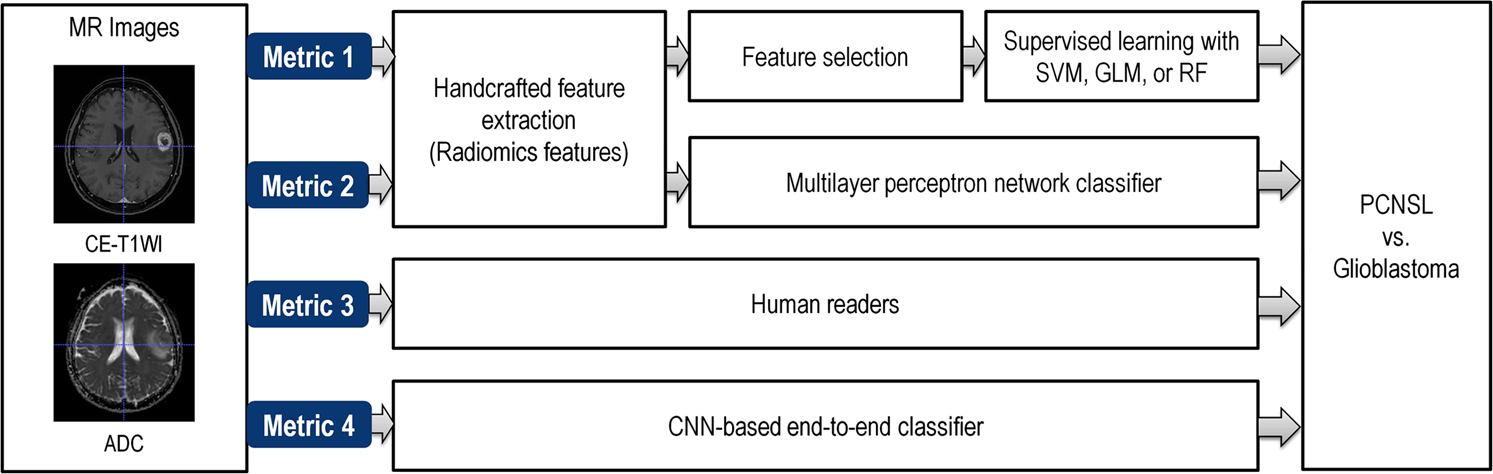 Radiomic Features And Multilayer Perceptron Network - 