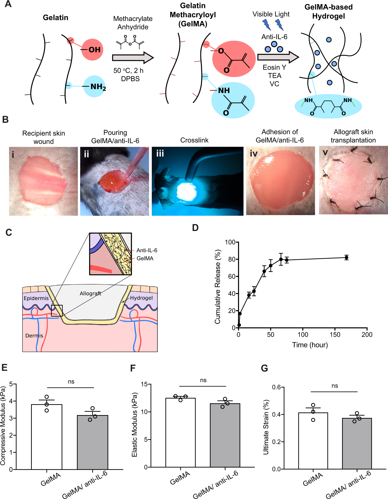 Cd3 antibody biolegend il6