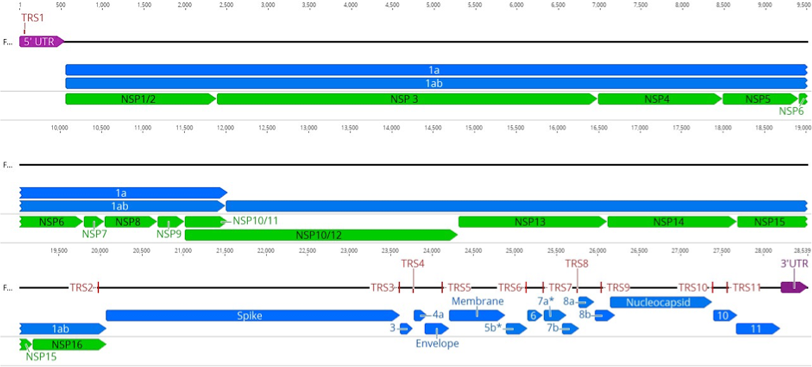 Identification of a Novel Coronavirus from a Beluga Whale by Using