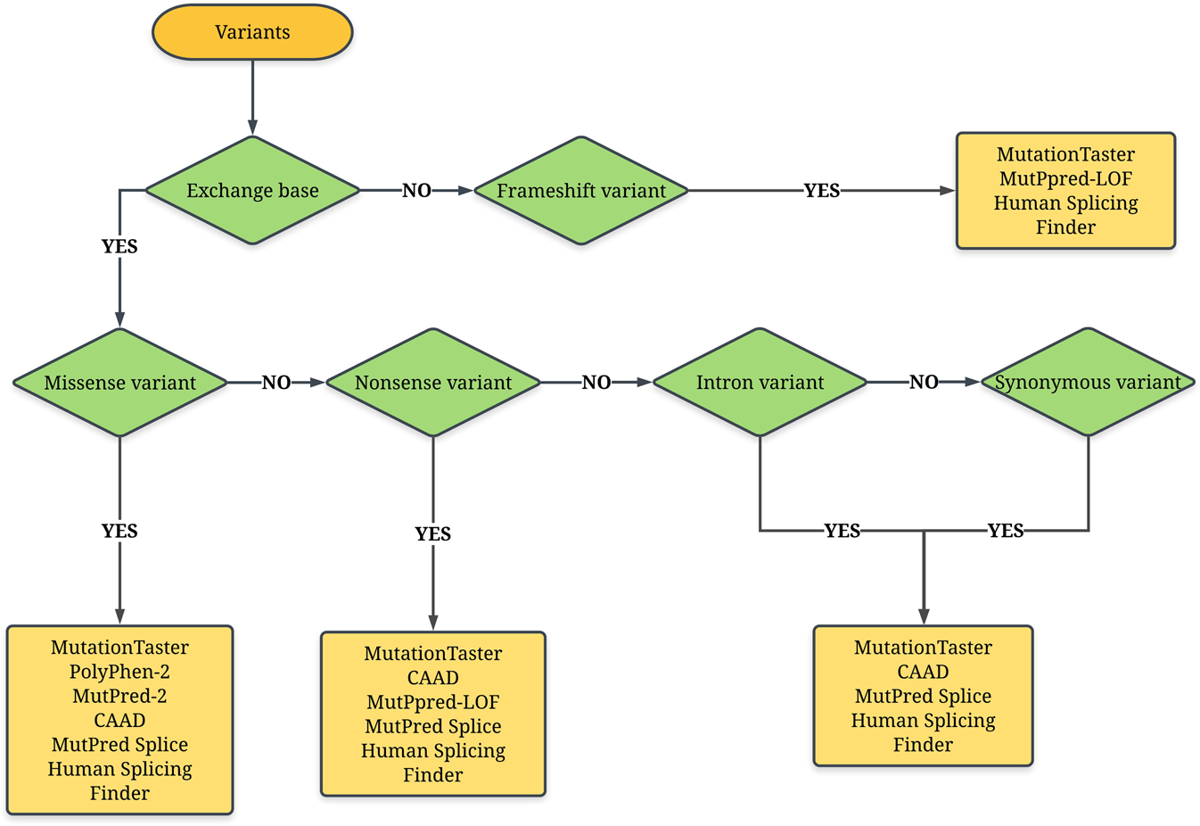 A new synonym-substitution method to enrich the human phenotype