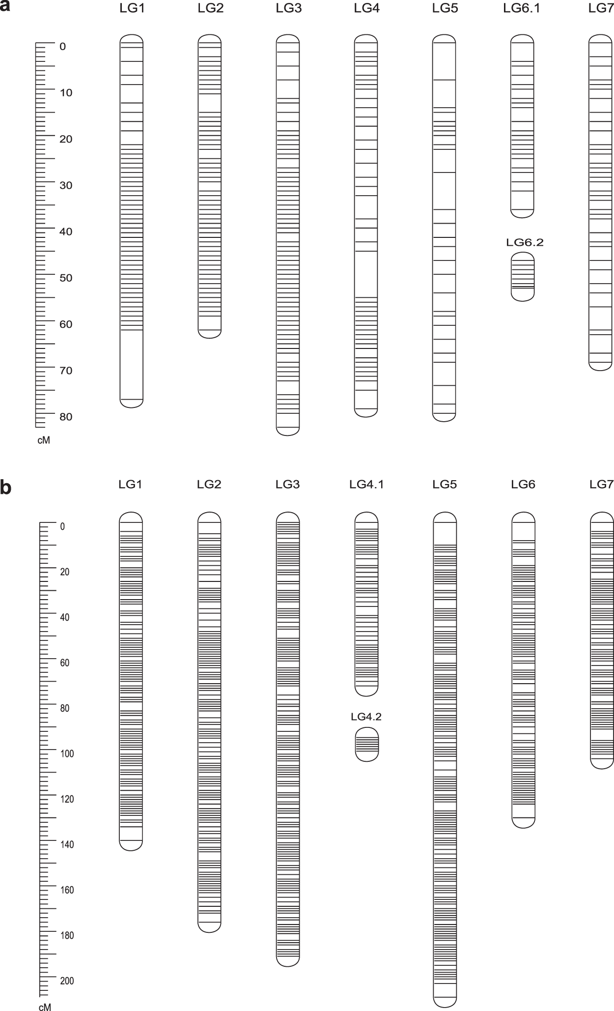 What Information Does A Linkage Map Provide The Development Of A High-Density Genetic Map Significantly Improves The  Quality Of Reference Genome Assemblies For Rose | Scientific Reports