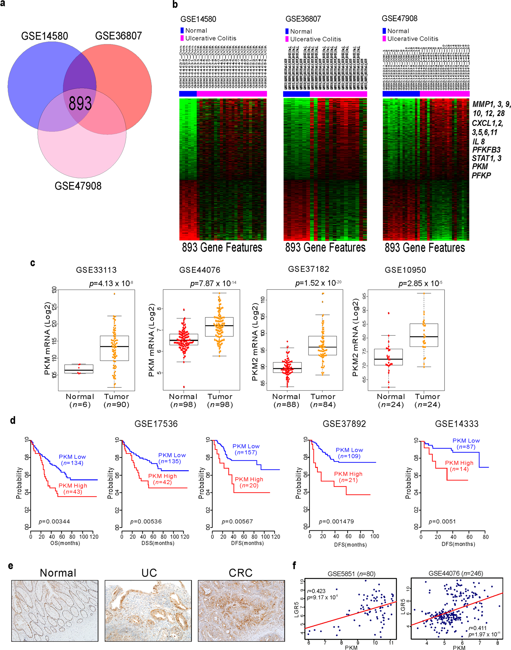 Asan Statement On Media Claims Linking >> Loss Of Pkm2 In Lgr5 Intestinal Stem Cells Promotes Colitis Asan Statement On Media Claims Linking >> Loss Of Pkm2 In Lgr5 Intestinal Stem Cells Promotes Colitis
