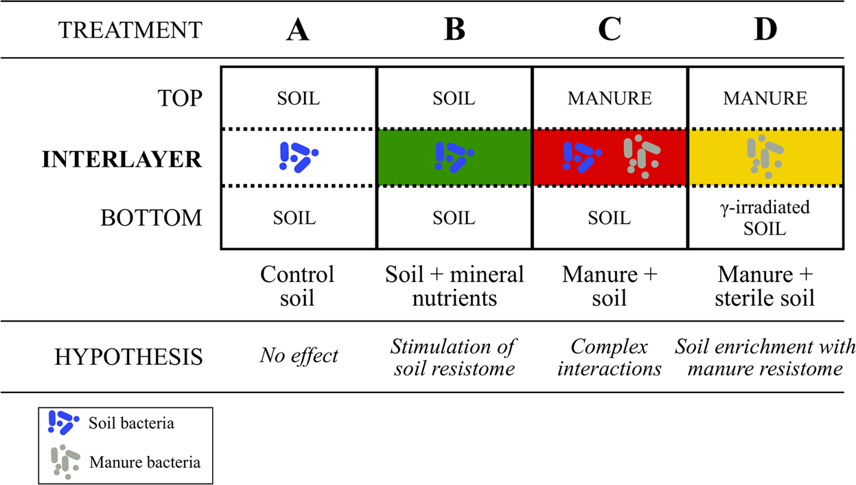 Native Soil Microorganisms Hinder The Soil Enrichment With