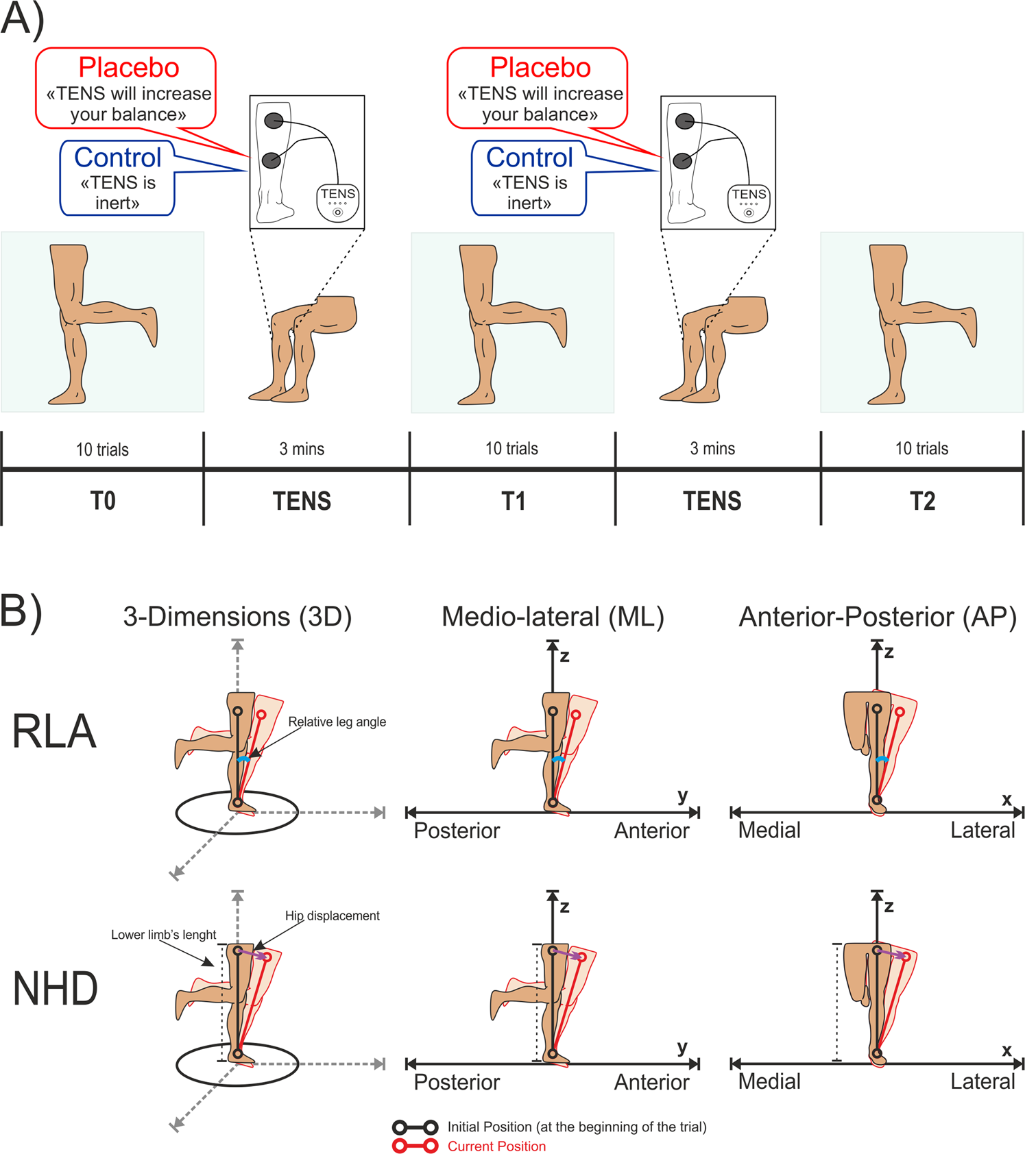 Functional Neuroanatomy for Posture and Gait Control