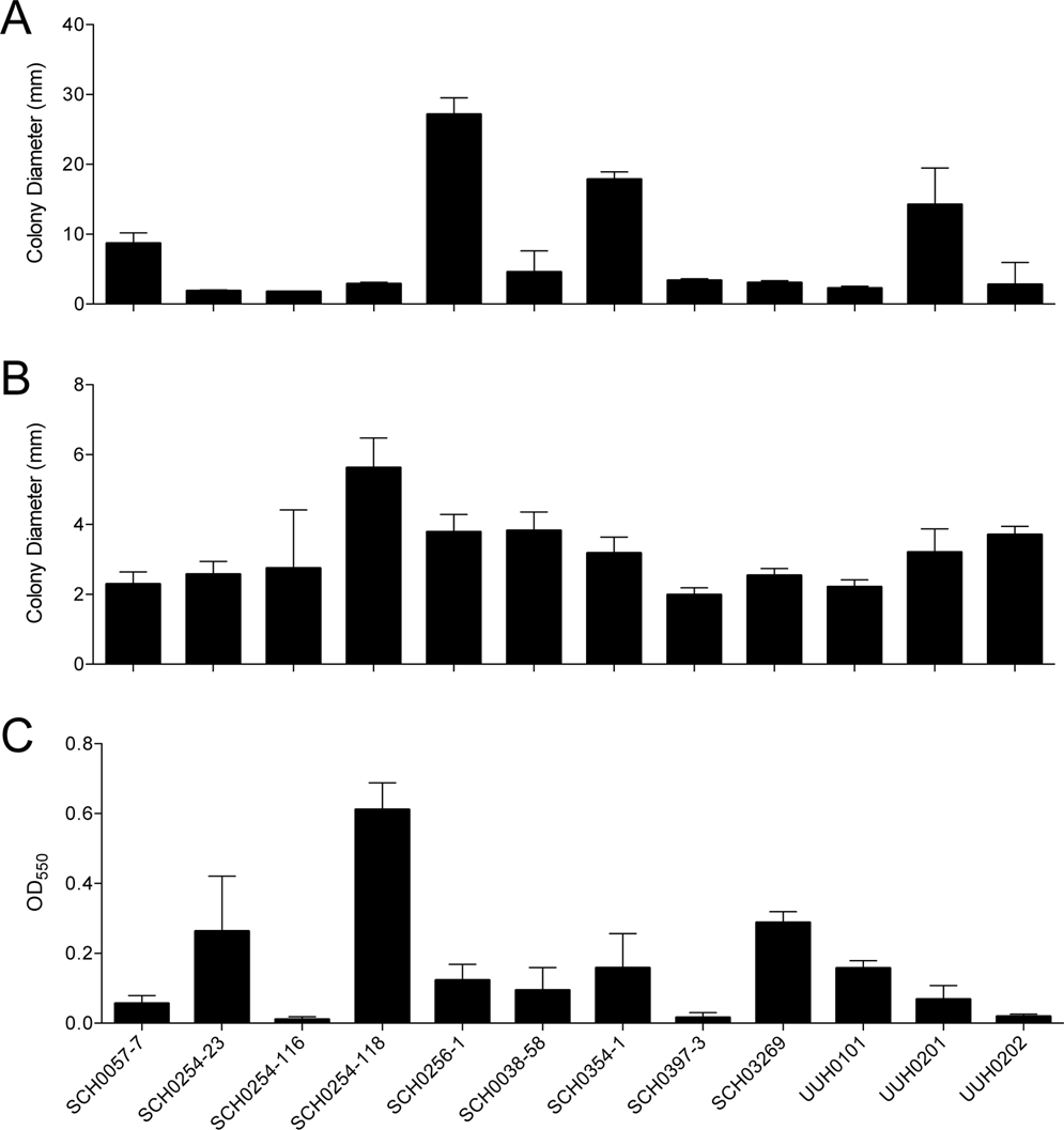 Blocking Rpon Reduces Virulence Of Pseudomonas Aeruginosa Isolated