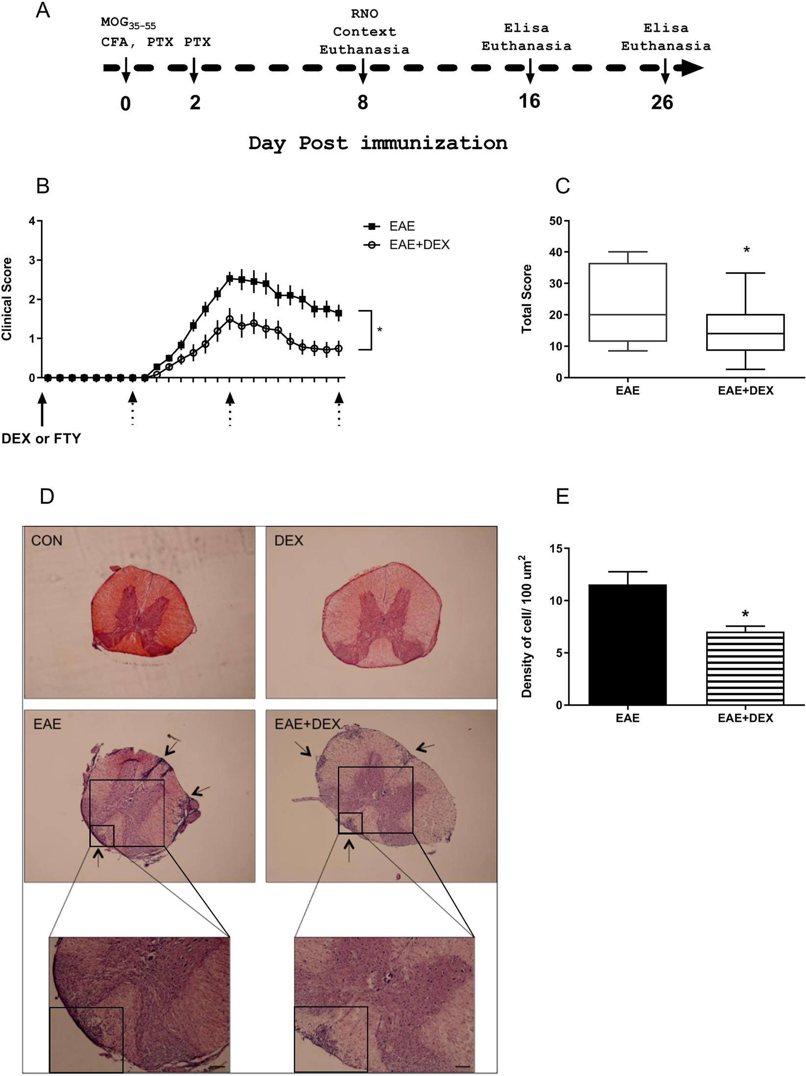 Dexamethasone for animal studies