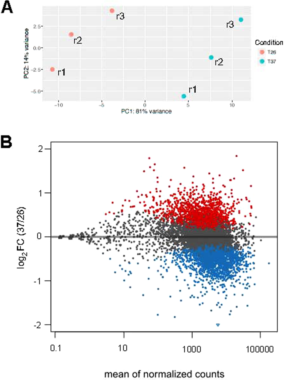 Analysis by RNA-seq of transcriptomic changes elicited by heat shock in  Leishmania major | Scientific Reports