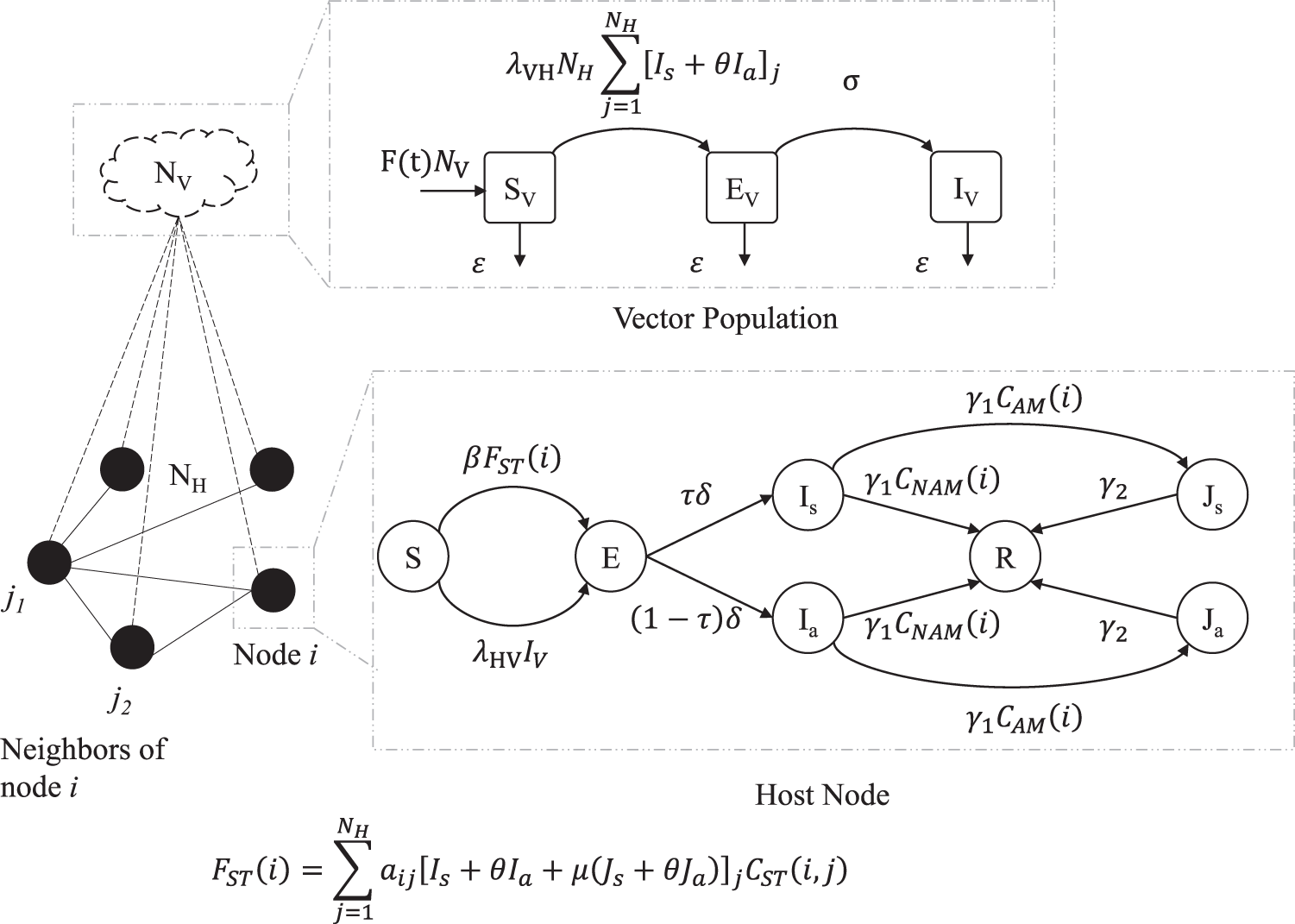Understanding The Survival Of Zika Virus In A Vector Images, Photos, Reviews