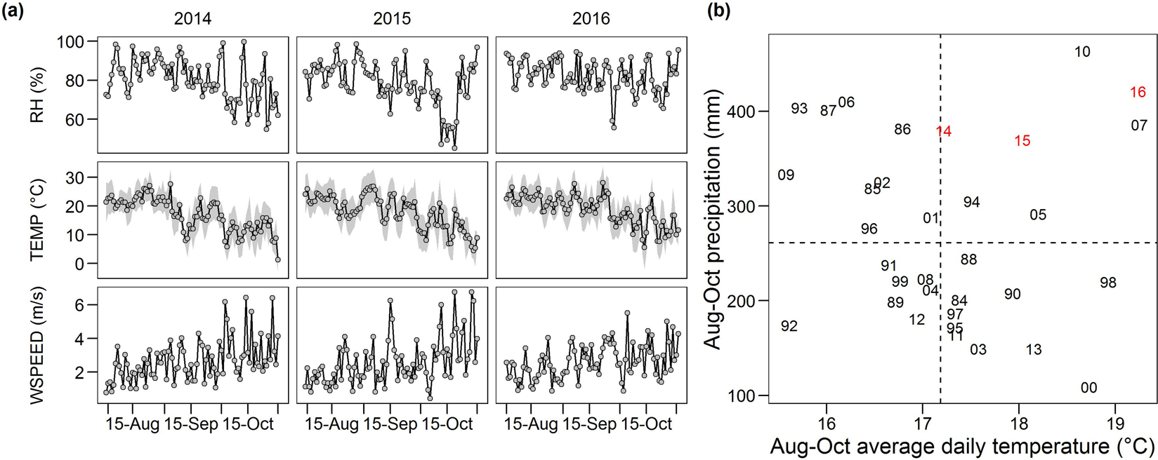 Real‐time equilibrium moisture content monitoring to predict grain