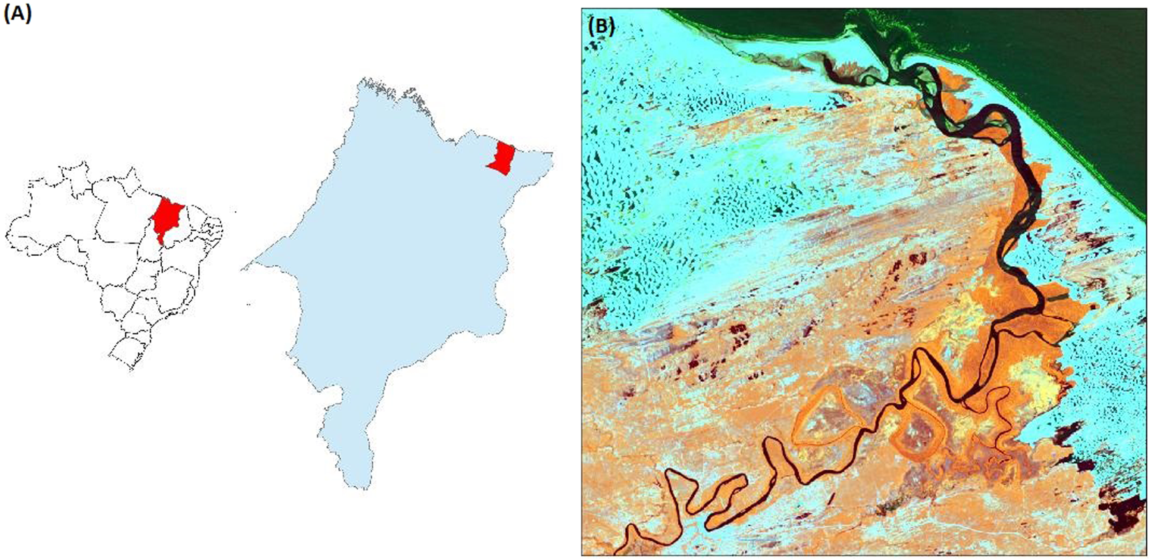 Modelling Dunes From Lençóis Maranhenses National Park - 