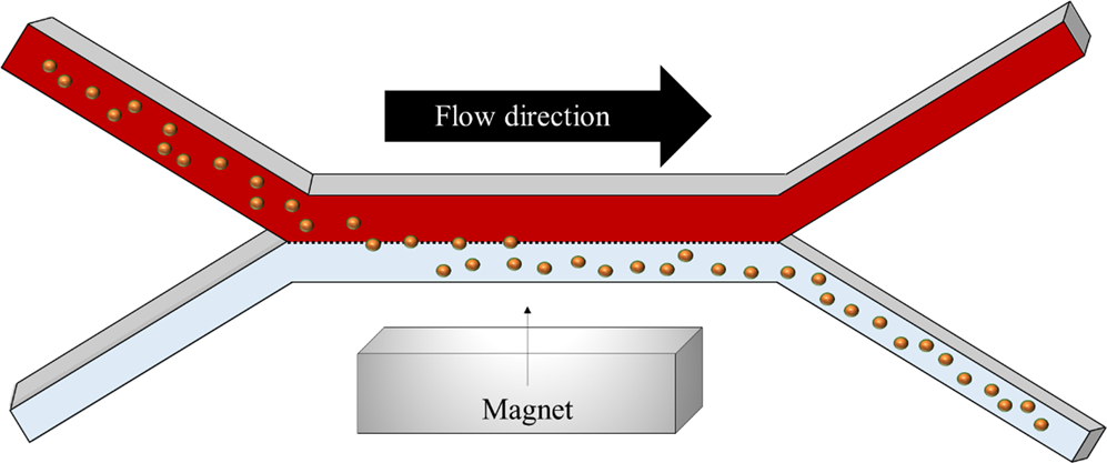 Numerical Analysis of Bead Magnetophoresis from Flowing Blood in a  Continuous-Flow Microchannel: Implications to the Bead-Fluid Interactions |  Scientific Reports