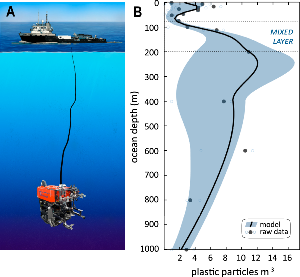 The Vertical Distribution And Biological Transport Of Marine