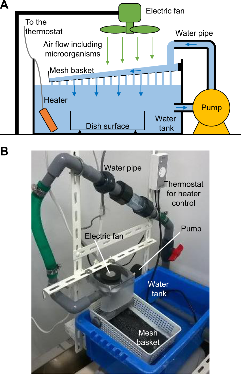 In-situ detection based on the biofilm hydrophilicity for environmental  biofilm formation | Scientific Reports