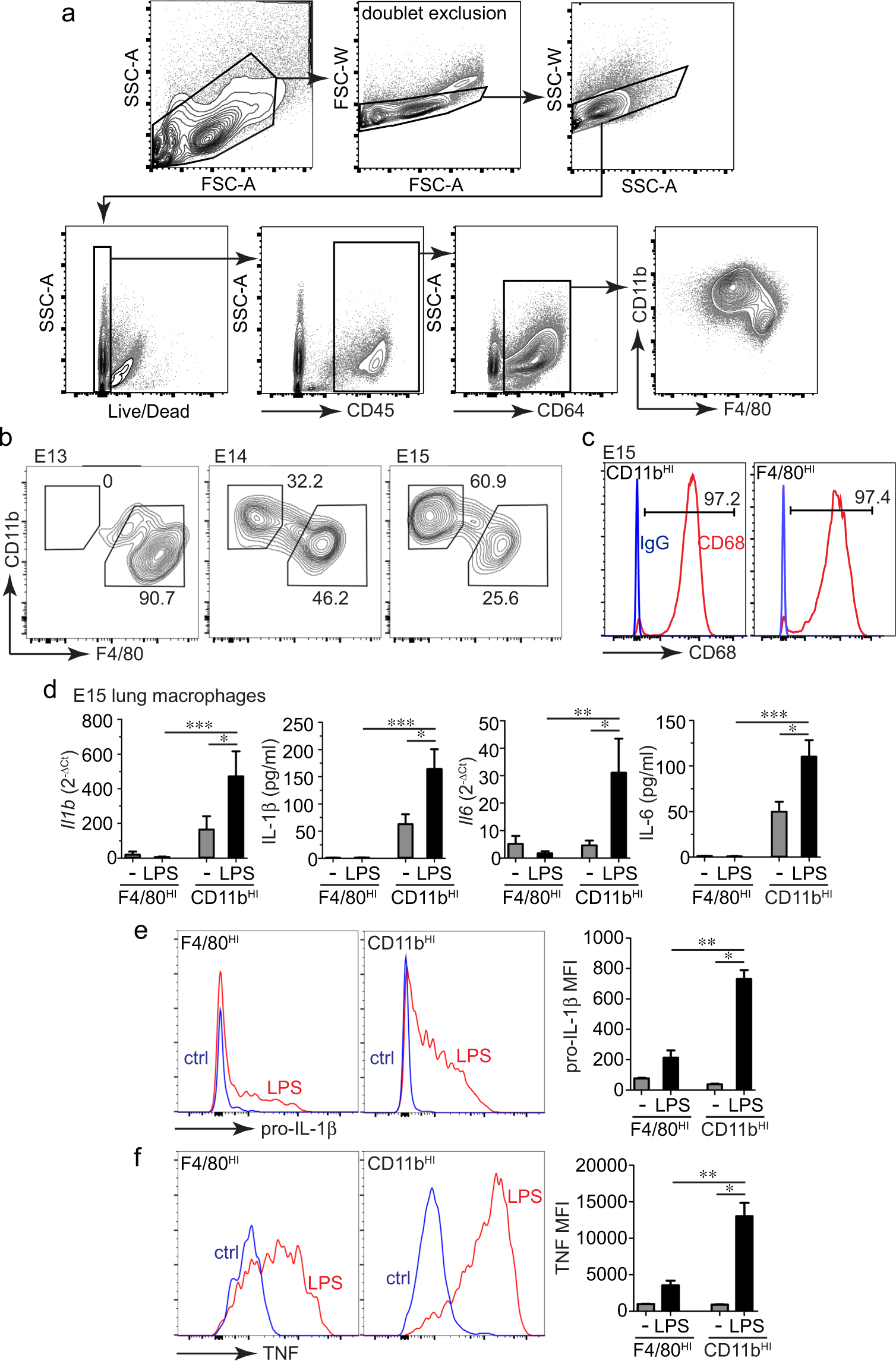 Differential Immune Activation in Fetal Macrophage Populations | Scientific  Reports