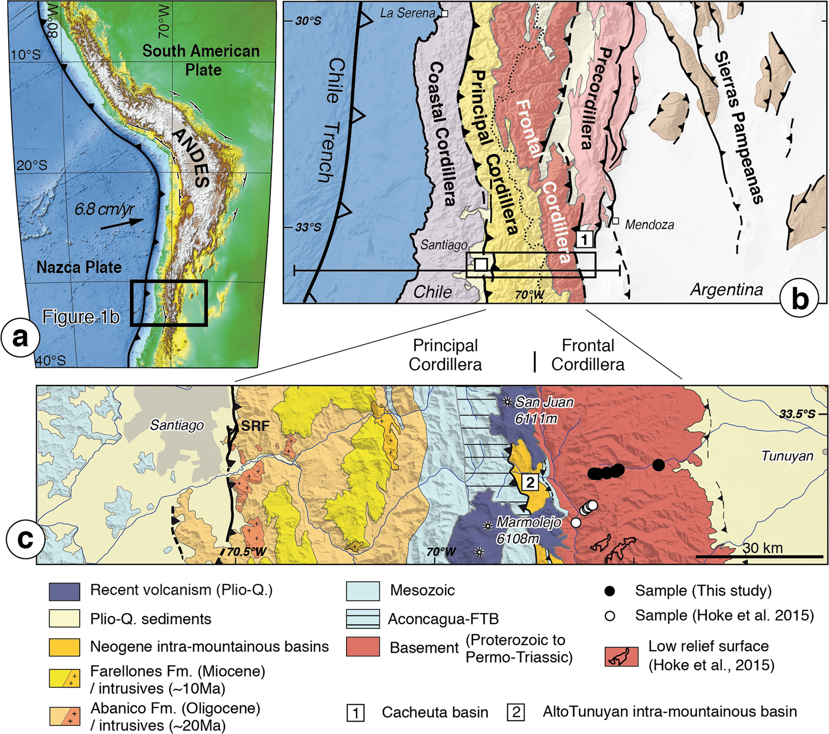 Lithospheric density structure of the southern Central Andes