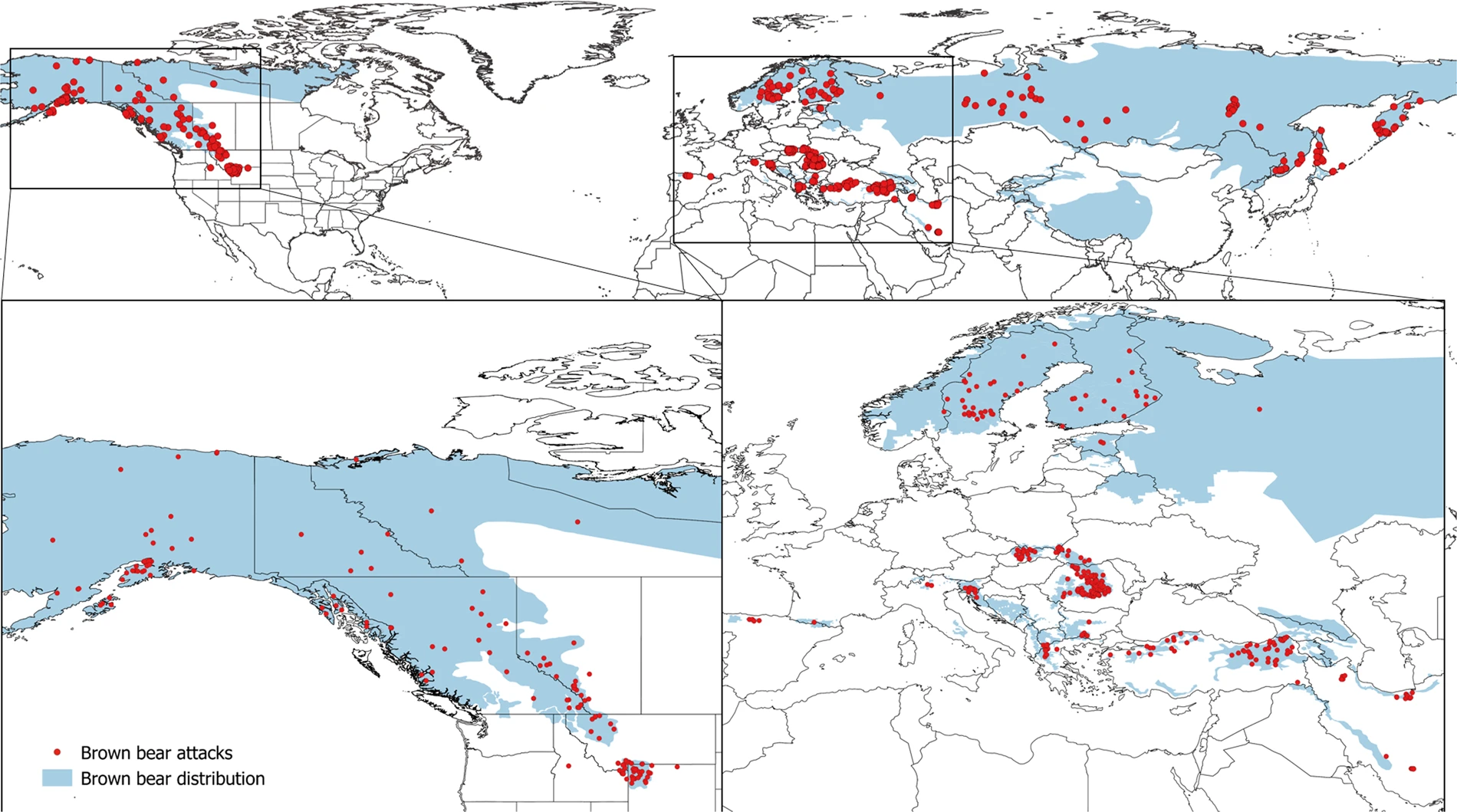 map of bear attacks