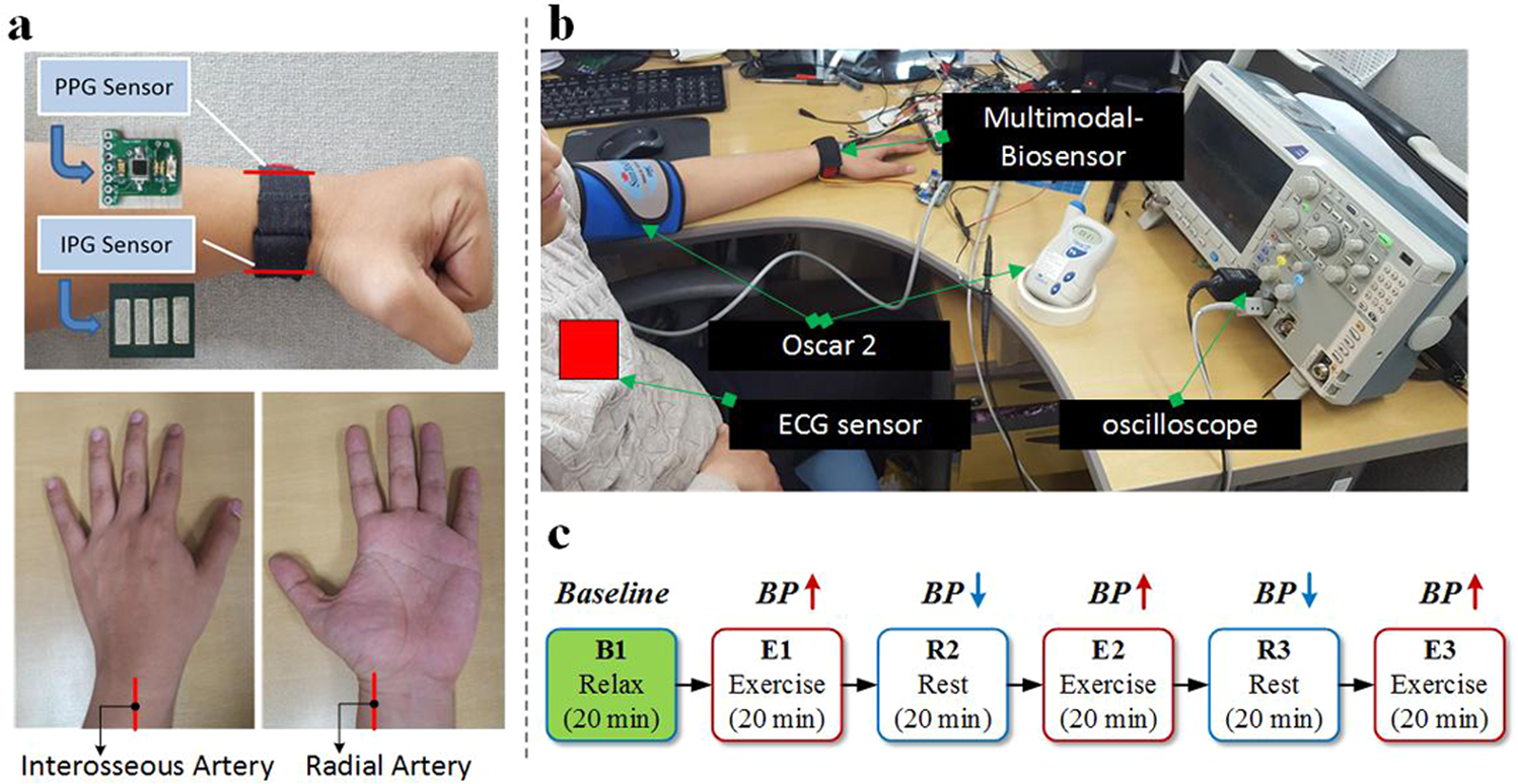 Advancing Continuous Blood Pressure Monitoring: Accurate Measurements with  Multichannel Sensing Signals in Wearable Devices - CBIRT