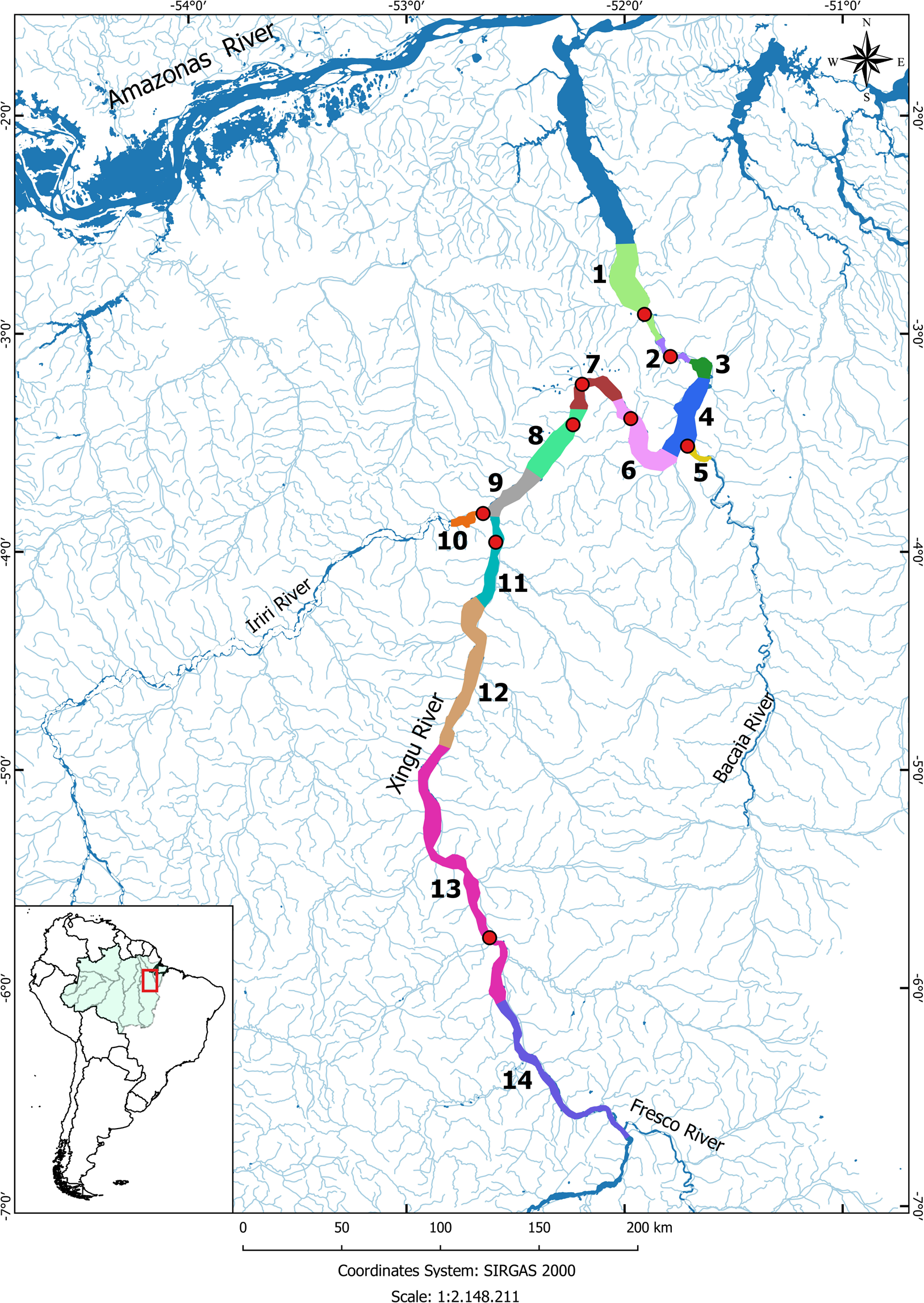 Biotelemetry reveals migratory behaviour of large catfish in the Xingu  River, Eastern Amazon | Scientific Reports