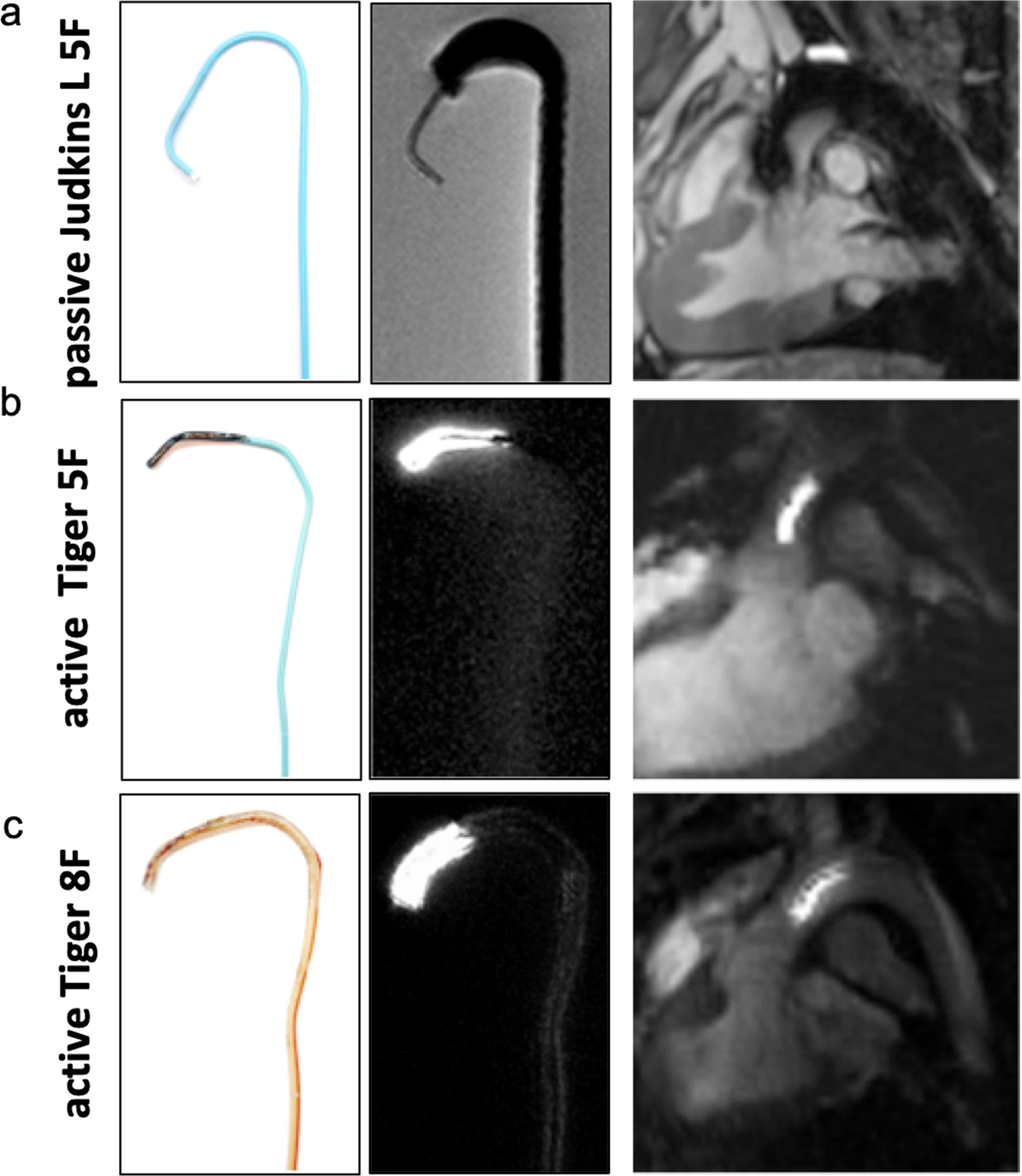 ACPSEM position paper: the safety of magnetic resonance imaging