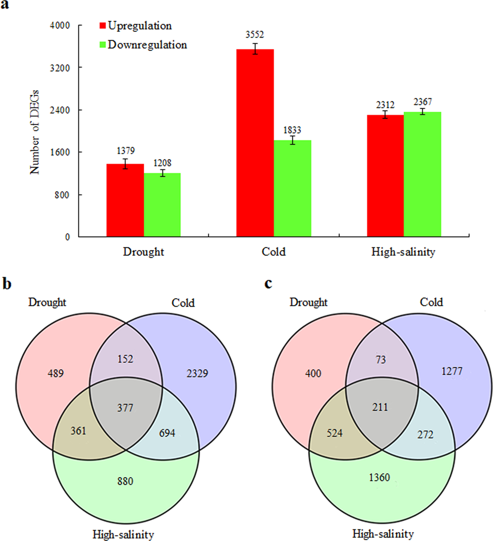 Transcriptomic and Metabolic Analyses Provide New Insights into the Apple  Fruit Quality Decline during Long-Term Cold Storage