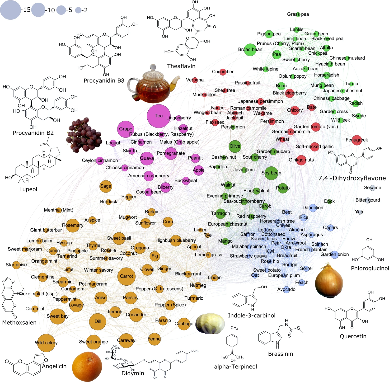 HyperFoods: Machine intelligent mapping of cancer-beating molecules in foods