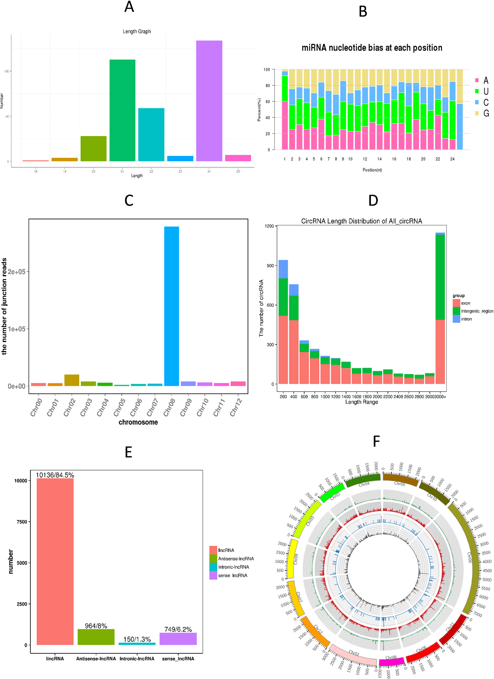 Network Analysis Of Noncoding Rnas In Pepper Provides - 