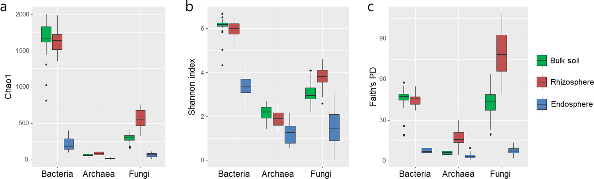a preliminary examination of bacterial archaeal and fungal archaea vs bacteria venn diagram