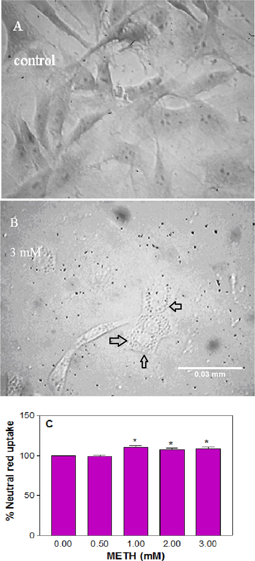 At what temperature does methamphetamine melt
