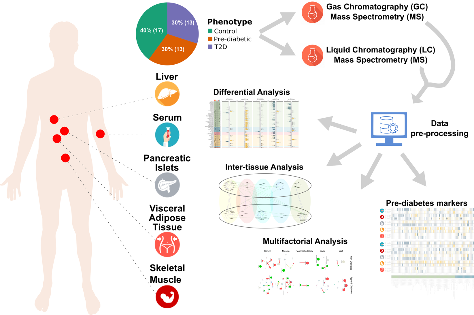 l carnitine type 2 diabetes Intra- and inter-individual metabolic profiling highlights carnitine and  lysophosphatidylcholine pathways as key molecular defects in type 2 diabetes