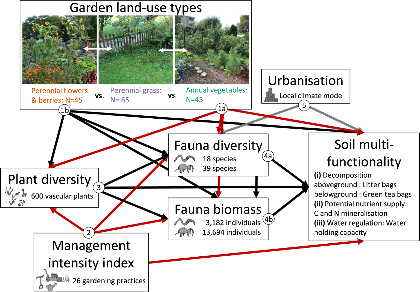 Direct And Indirect Effects Of Urban Gardening On Aboveground And